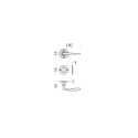 COLOMBO DESIGN DOOR HANDLES PAIR ON ROSE SERIES ANTOLOGHIA FIRENZE
