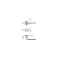 COLOMBO DESIGN DOOR HANDLES PAIR ON ROSE SERIES ANTOLOGHIA PALATINO