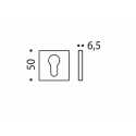 COLOMBO DESIGN CYLINDER ESCUTCHEON FF23 Y