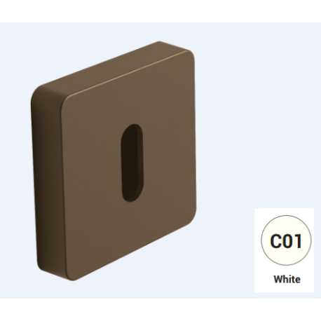 COLOMBO DESIGN CYLINDER ESCUTCHEON PATENT DUEQ MOOD COLLECTION