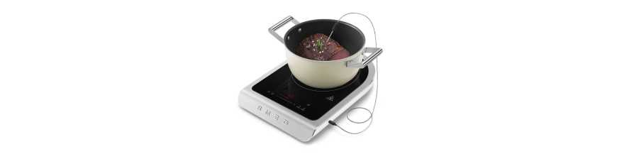 Portable Induction Hob