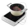 Portable Induction Hob